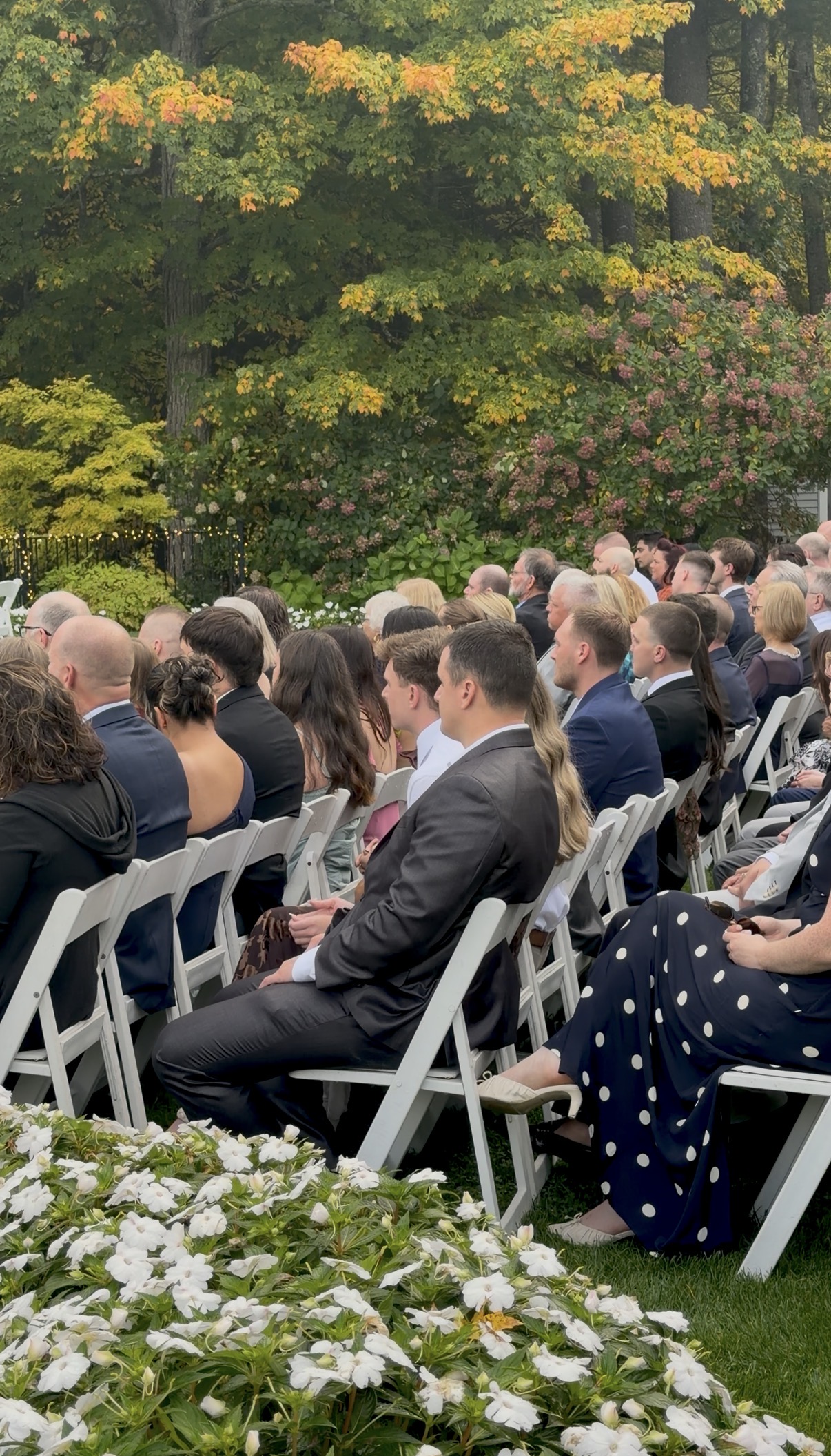 Wedding guests seated on white folding chairs watch the outdoor gazebo ceremony at Zorvino Vineyards beneath maple trees turning yellow and orange, with white impatiens in the foreground.