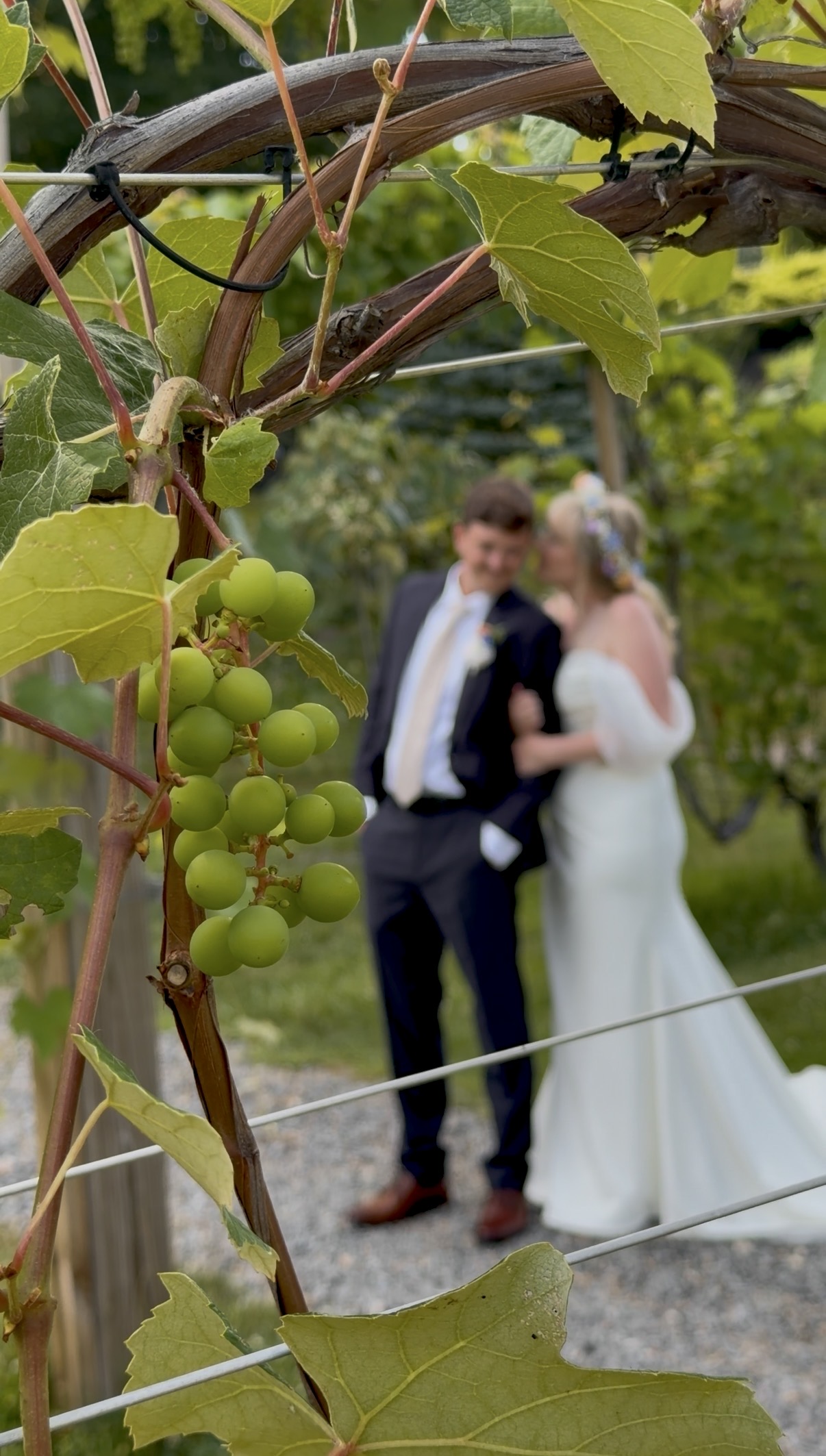 Green grapes on the vine in focus with a bride and groom blurry behind them.