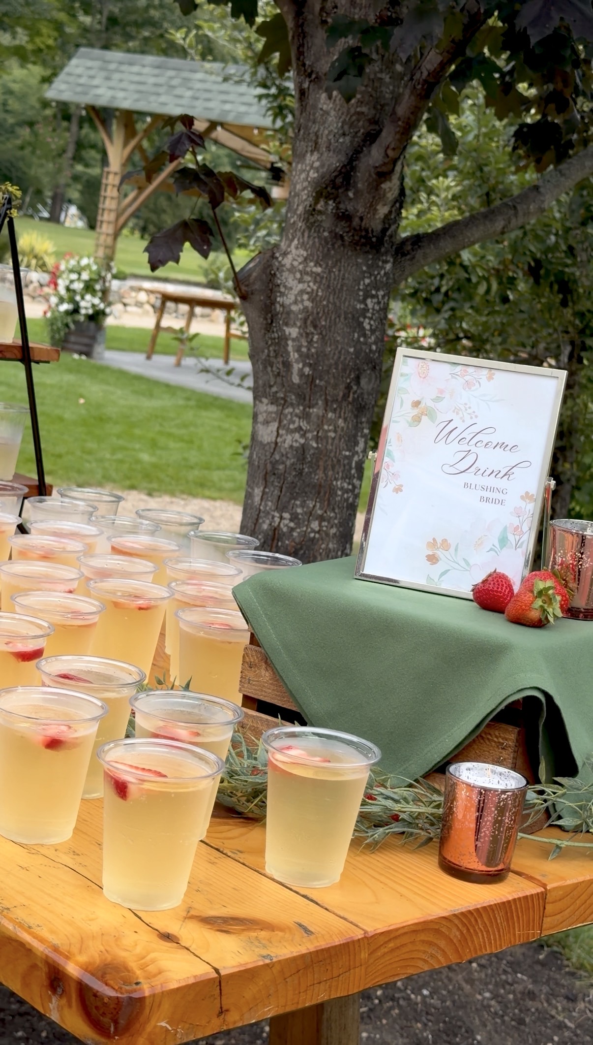 The Blushing Bride welcome drink, waiting to greet guests | Photography: @solarephotos