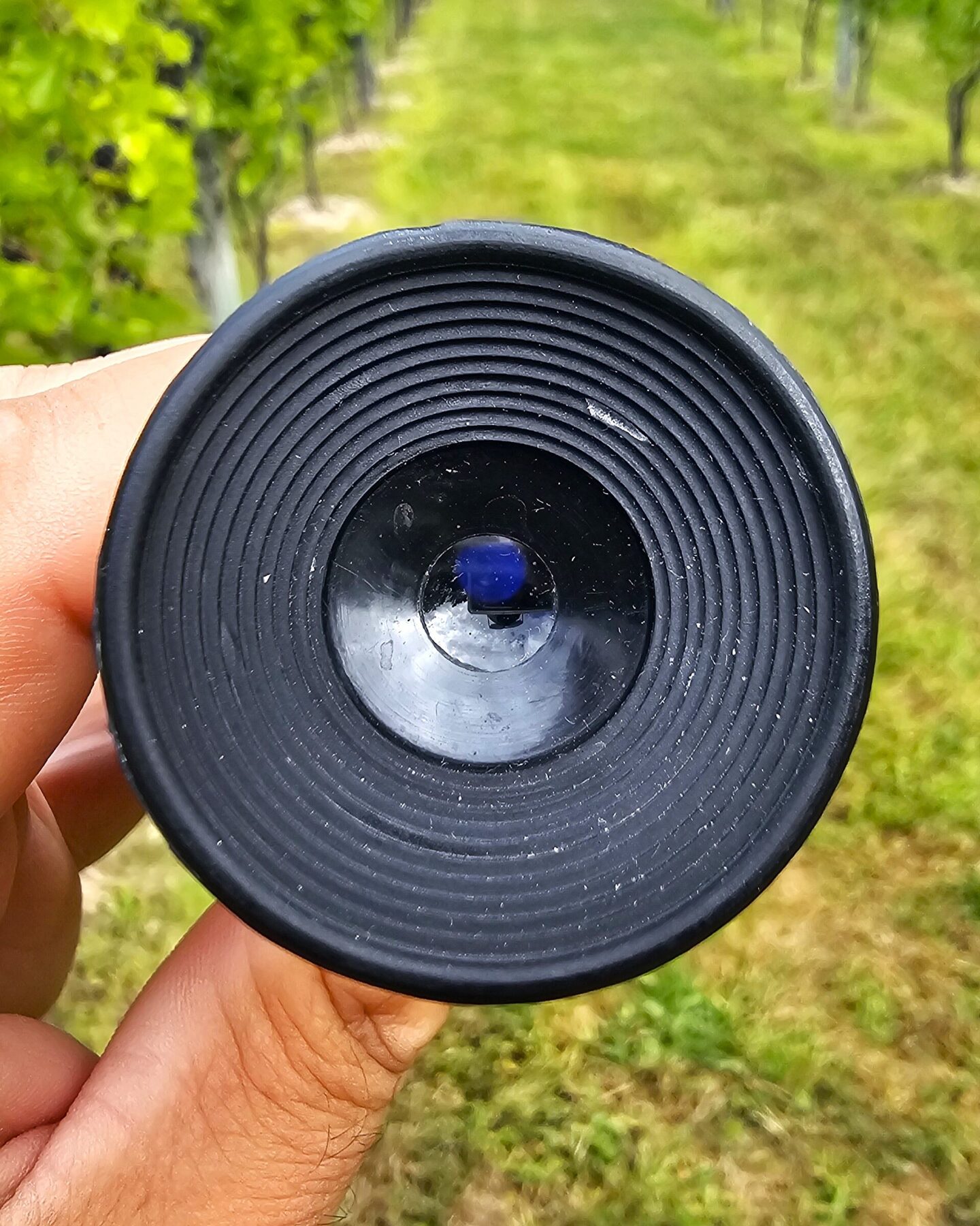 Measuring Brix: What & Why