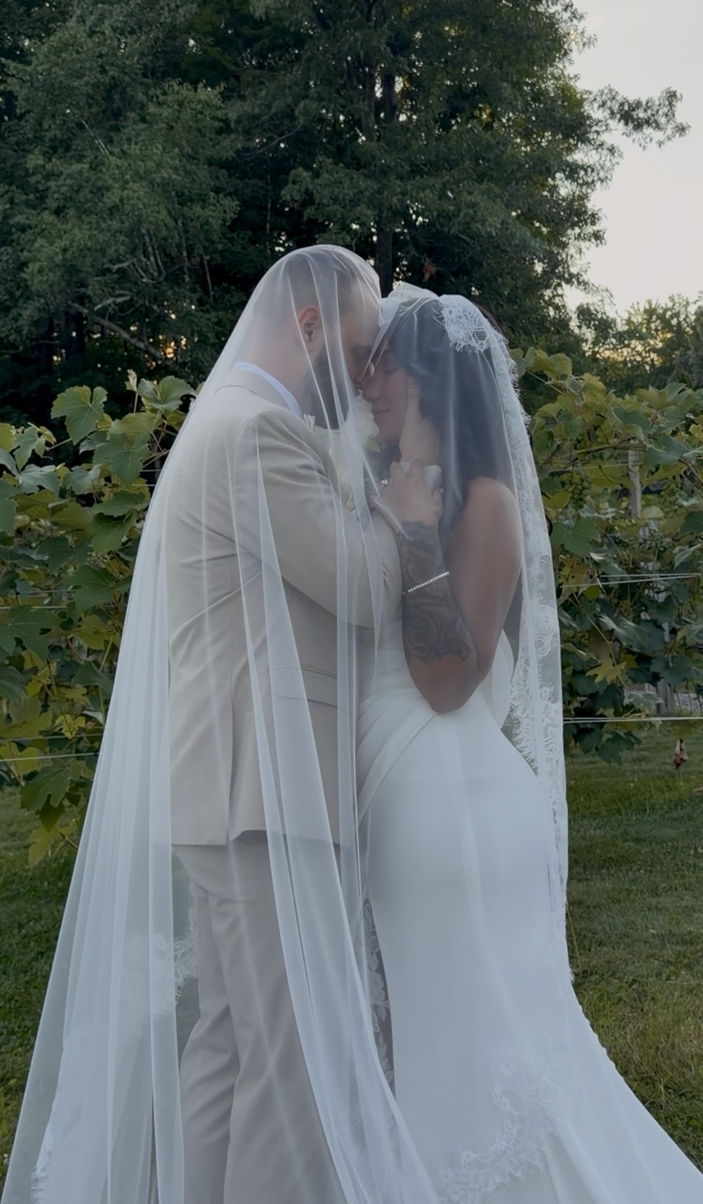 Yazmin & Nick beneath her veil, foreheads touching, vineyard rows behind them