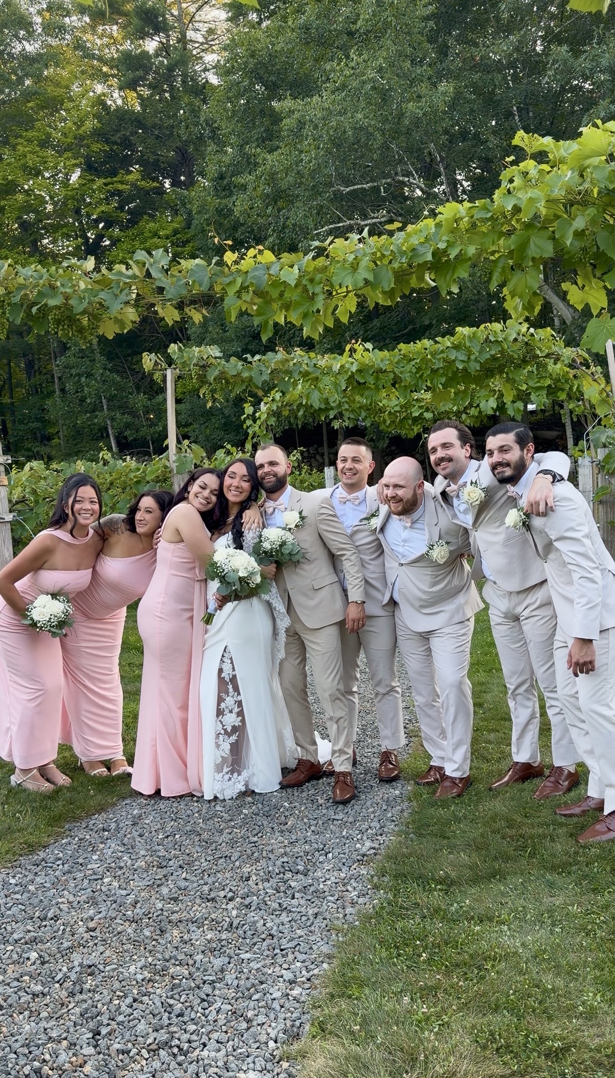 The wedding party in blush and tan along the gravel path, vineyard vines overhead 
